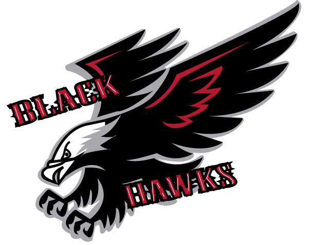 Eagle - Black Hawks